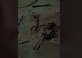 Si schiudono le uova della tartaruga che ha deposto a Playa Grande. VIDEO