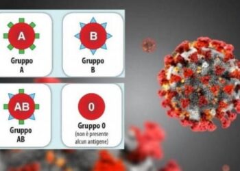 Coronavirus e gruppi sanguigni: chi corre più rischi? Lo studio