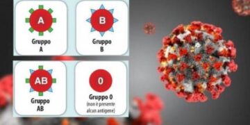 Coronavirus e gruppi sanguigni: chi corre più rischi? Lo studio