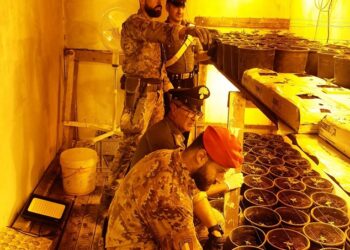 Una piantagione di marijuana in un bunker, arrestato a Comiso un 63enne