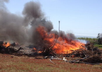 Scoglitti: denunciati due contadini, bruciavano materiali di scarto abusivamente