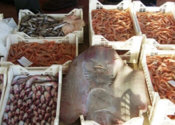 Multati irregolari al mercatino di Scoglitti