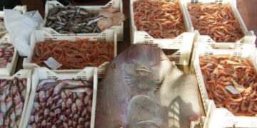 Multati irregolari al mercatino di Scoglitti