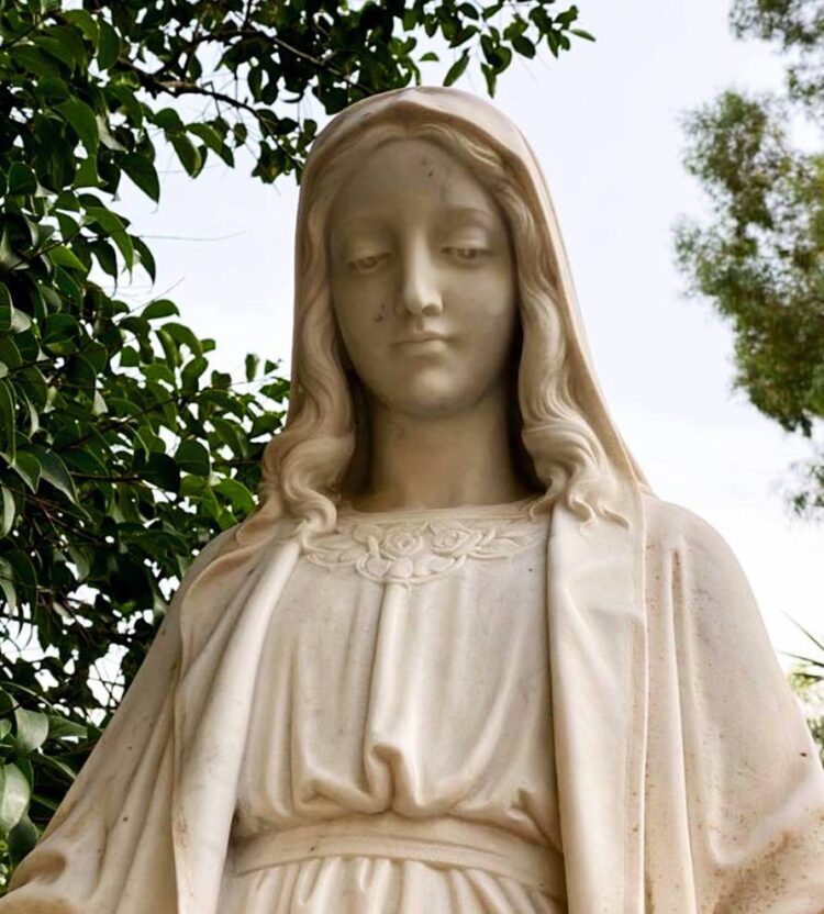 Immacolata: gli appuntamenti promossi dalla Pastorale della Salute