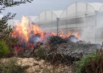 Fumarole abusive: denunciati 9 imprenditori agricoli in provincia