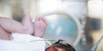 Vittorio Fortunato: 20 famiglie ragusane hanno chiesto di adottarlo