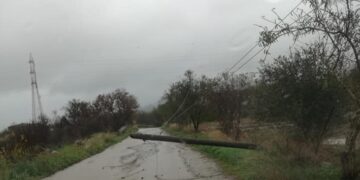 Il maltempo provoca danni a Chiaramonte: cade un palo del telefono