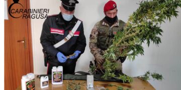 Trovato con due piante di cannabis: un arresto a Vittoria