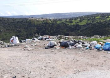 Intervento di bonifica nella Riserva Naturale Orientata Pino d’Aleppo