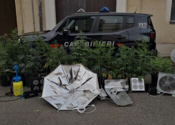 A Santa Croce, arrestati due giovani ragusani, coltivavano marijuana nella casa della madre