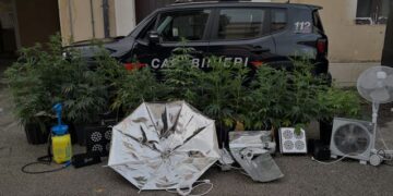 A Santa Croce, arrestati due giovani ragusani, coltivavano marijuana nella casa della madre