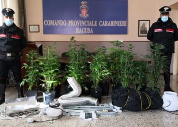 Coltivavano marijuana in famiglia: arrestati padre e figlio a Ragusa