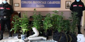 Coltivavano marijuana in famiglia: arrestati padre e figlio a Ragusa
