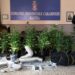 Coltivavano marijuana in famiglia: arrestati padre e figlio a Ragusa