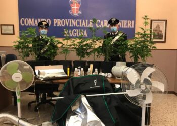 Ragusa: una florida coltivazione di marijuana in casa, arrestati dai Carabinieri