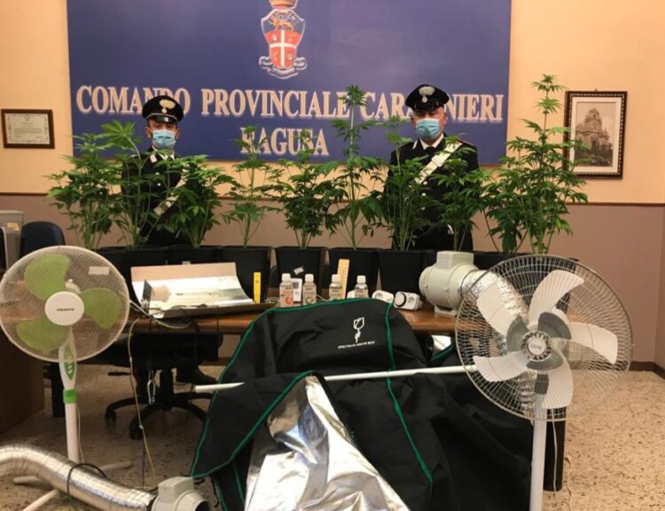Ragusa: una florida coltivazione di marijuana in casa, arrestati dai Carabinieri