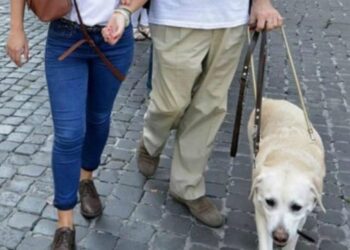 UICI Ragusa cerca 16 persone da impiegare in tre progetti di servizio civile universale