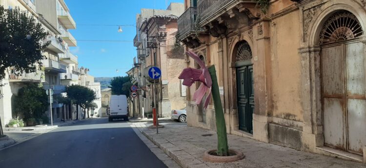 Oltre 100 alberelli tagliati a metà in varie zone di Ragusa. Chiavola: “Ecco lo stato precario in cui è tenuto il verde pubblico”. FOTO
