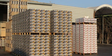 Beni per 40 milioni sequestrati a Elio Greco, il re degli imballaggi, fra Ragusa e Caltanissetta