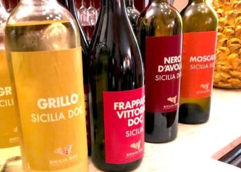 Vini Doc Sicilia, nel 2020 prodotte 90 milioni di bottiglie