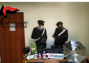 Scoperte a Vittoria due serre di marijuana: un arresto