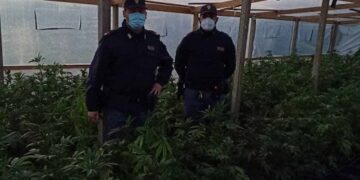 Una serra di marijuana trovata a Vittoria