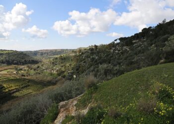 Vittoria, donna si perde nella valle dell’Ippari, salvata dalla polizia