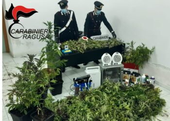 Comiso: una piantagione di marijuana scoperta in una serra, arrestate due persone