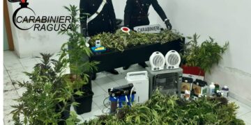 Comiso: una piantagione di marijuana scoperta in una serra, arrestate due persone