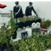 Comiso: una piantagione di marijuana scoperta in una serra, arrestate due persone