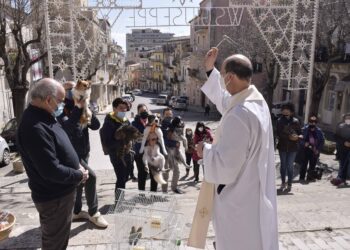Ragusa: la benedizione degli animali per la festa di San Giuseppe