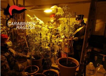 Chiaramonte: una serra di marijuana in casa, arrestato un 48enne con un kg di droga