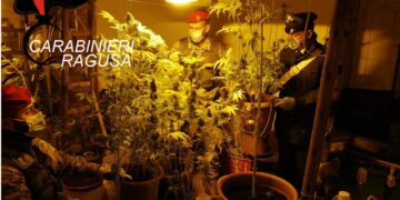 Chiaramonte: una serra di marijuana in casa, arrestato un 48enne con un kg di droga