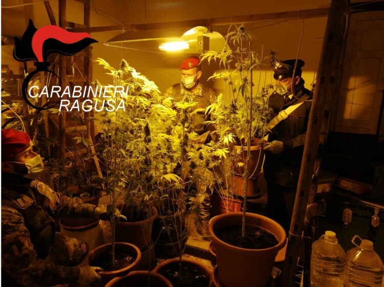 Chiaramonte: una serra di marijuana in casa, arrestato un 48enne con un kg di droga