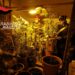 Chiaramonte: una serra di marijuana in casa, arrestato un 48enne con un kg di droga
