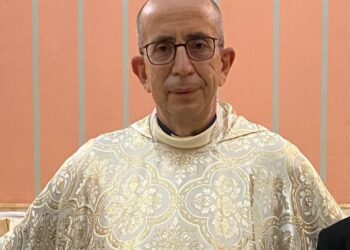 Le istituzioni sanitarie cattoliche: webinar della Pastorale della Salute