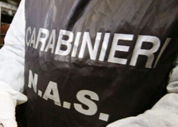 Nas di Ragusa: segnalati i responsabili di due strutture del territorio di Vittoria