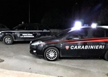 Ladri tentano di introdursi all’istituto agrario di Vittoria
