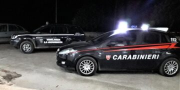 Ladri tentano di introdursi all’istituto agrario di Vittoria