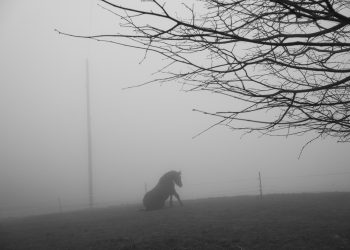 Catania: “Turning the camera”, mostra fotografica di Paolo Pellegrin