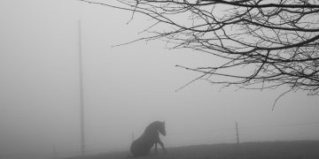 Catania: “Turning the camera”, mostra fotografica di Paolo Pellegrin