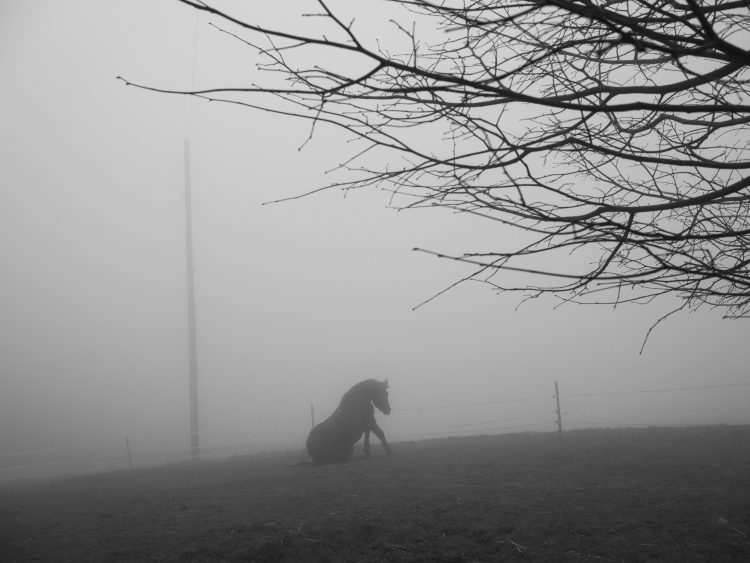 Catania: “Turning the camera”, mostra fotografica di Paolo Pellegrin