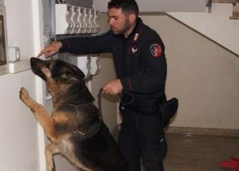 Droga a Modica e a Pozzallo, un arresto e una denuncia a carico di un minore