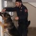 Droga a Modica e a Pozzallo, un arresto e una denuncia a carico di un minore