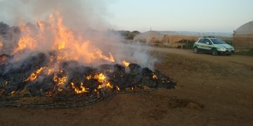 Lotta alle “fumarole” anche con il drone. Denunciati sei imprenditori agricoli