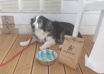 A Varcuzza di Donnalucata riparte con tante novità, tra queste il “Welcome dog”