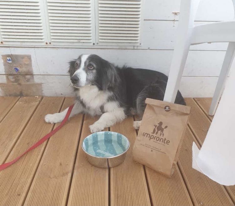 A Varcuzza di Donnalucata riparte con tante novità, tra queste il “Welcome dog”