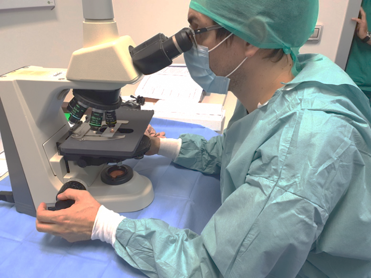 Immunopatologie renali: nuove prospettive diagnostiche e terapeutiche nella nefrologia dell’Asp di Ragusa