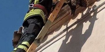Ibla: allocco rimane impigliato fra le tegole, salvato dai vigili del fuoco