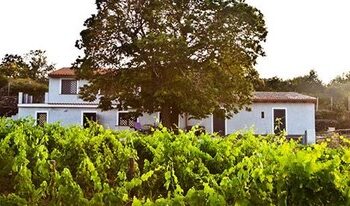 Vino, arte e musica, l’Etna Inspirante di Primaterra nella rassegna 2021